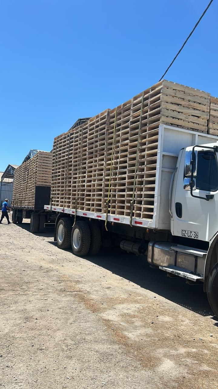Camión cargado con pallets de madera bajo cielo despejado